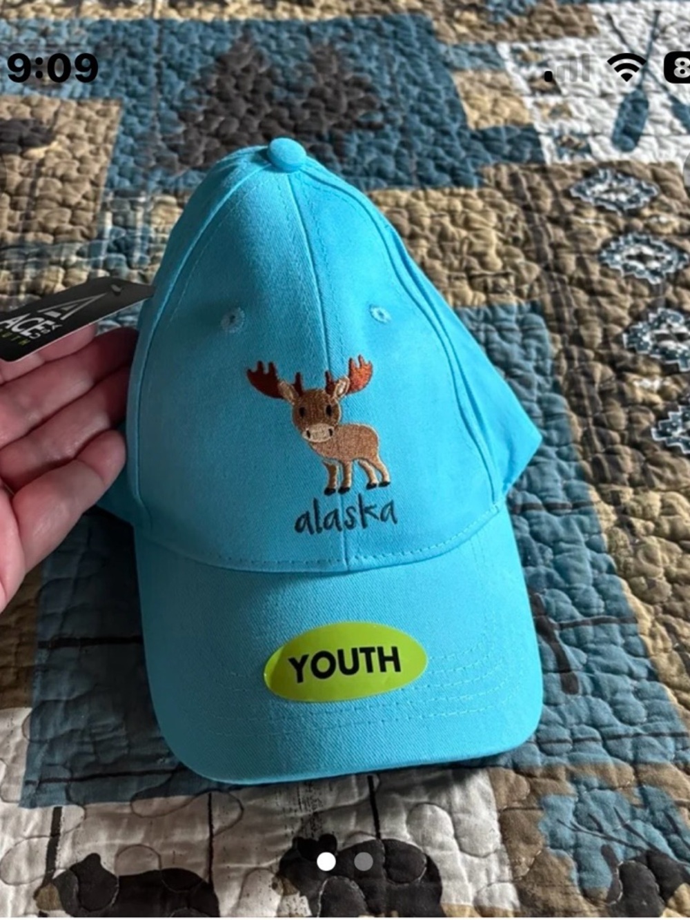 Youth Alaska Moose Embroidered Turquoise Cap